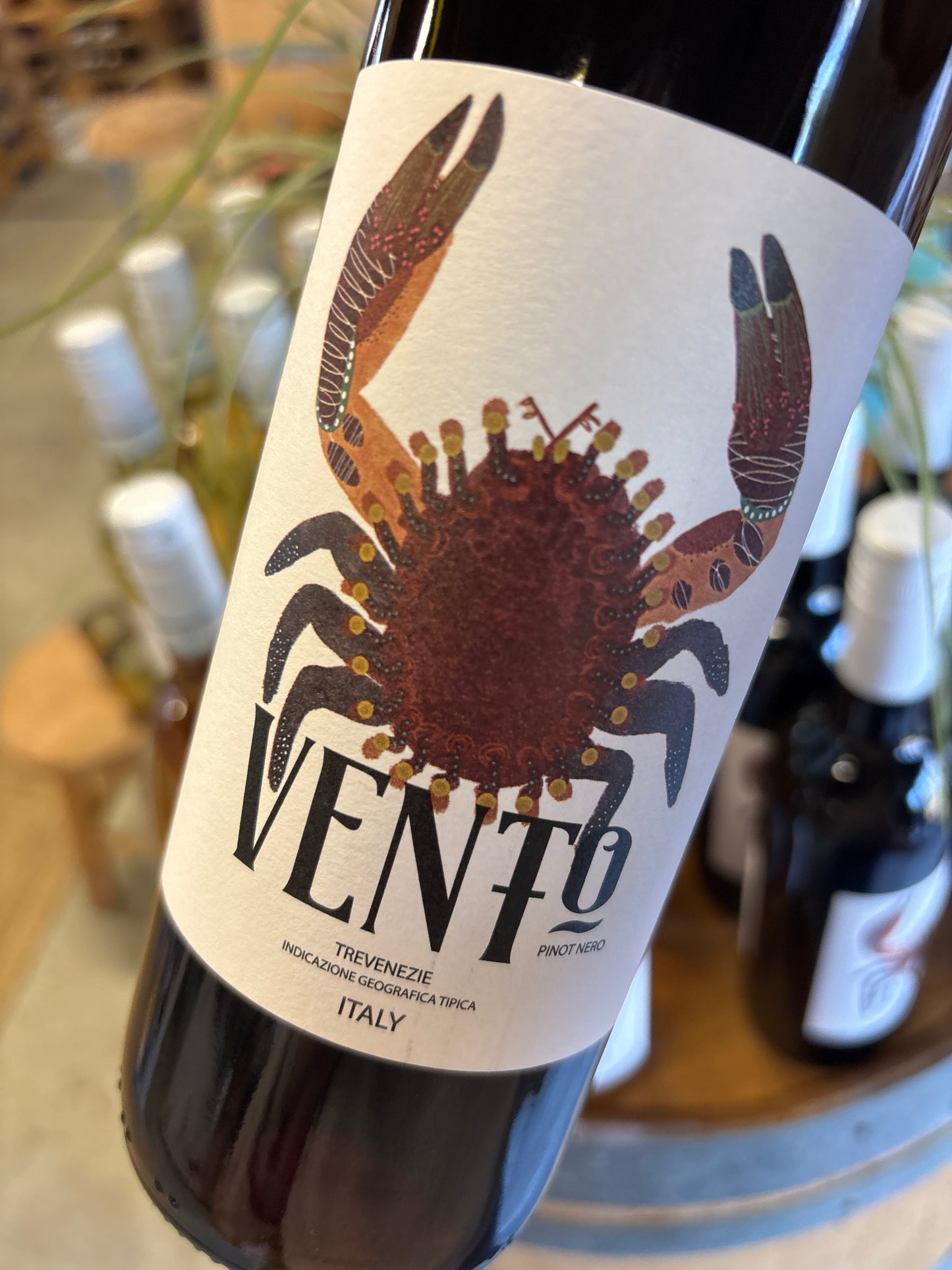 Vento - pinot nero - Veneto