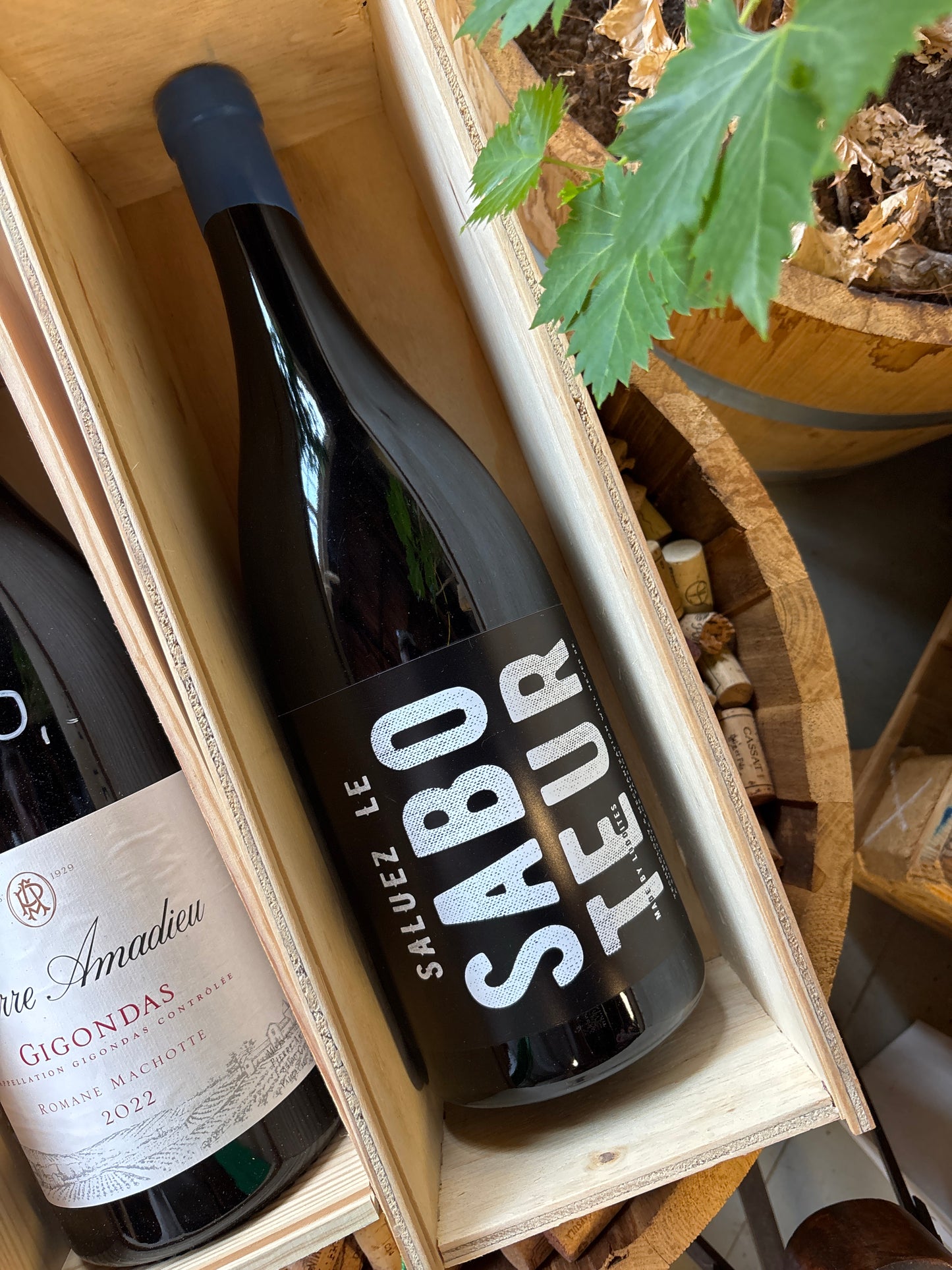 Luddite Saboteur Red 3 liter - shiraz/mourvedre/grenache/cabernet sauvignon - Bot River