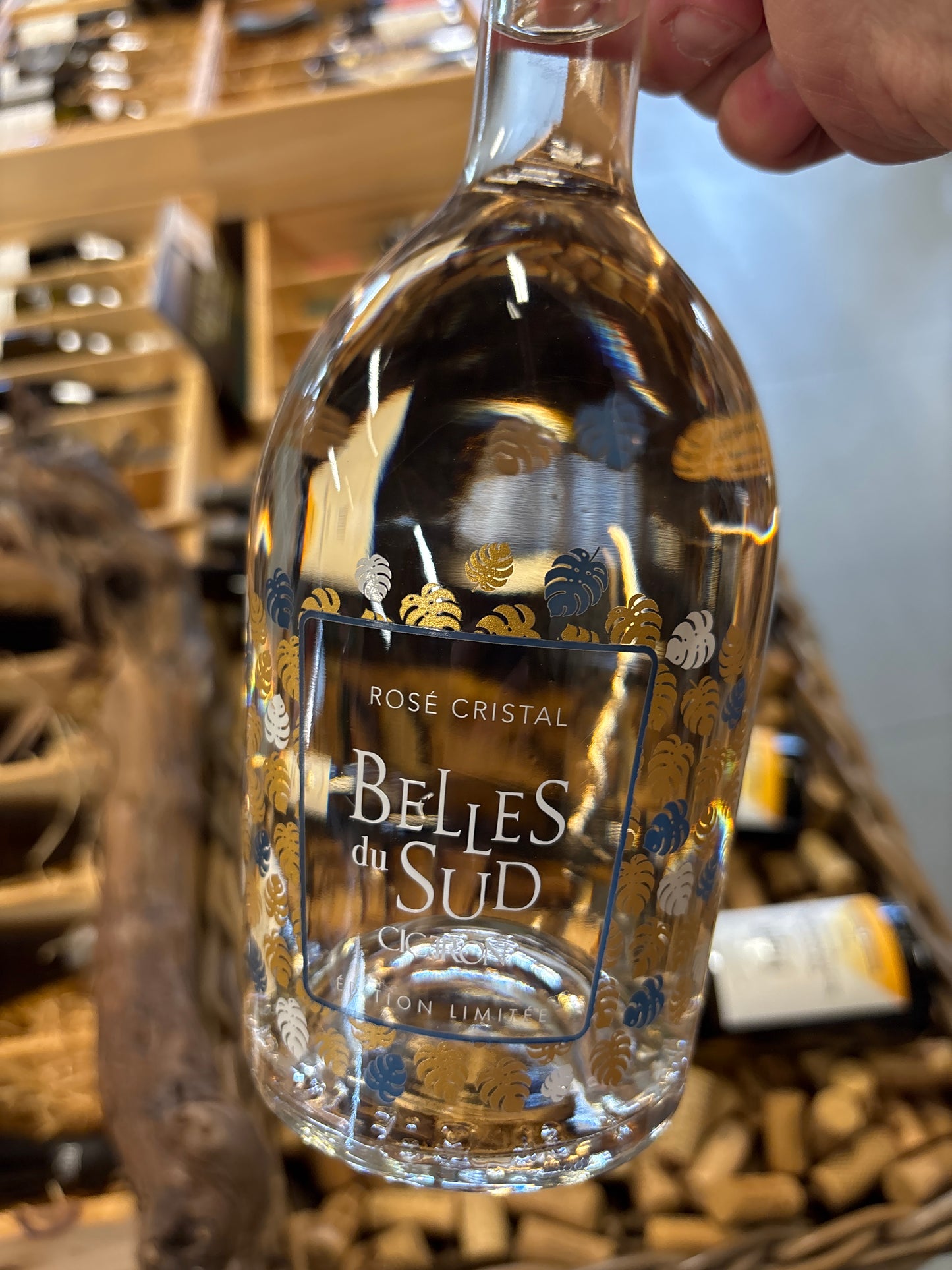 Belles du Sud Jungle rosé - Cinsault/Grenache gris - Pays d’Oc