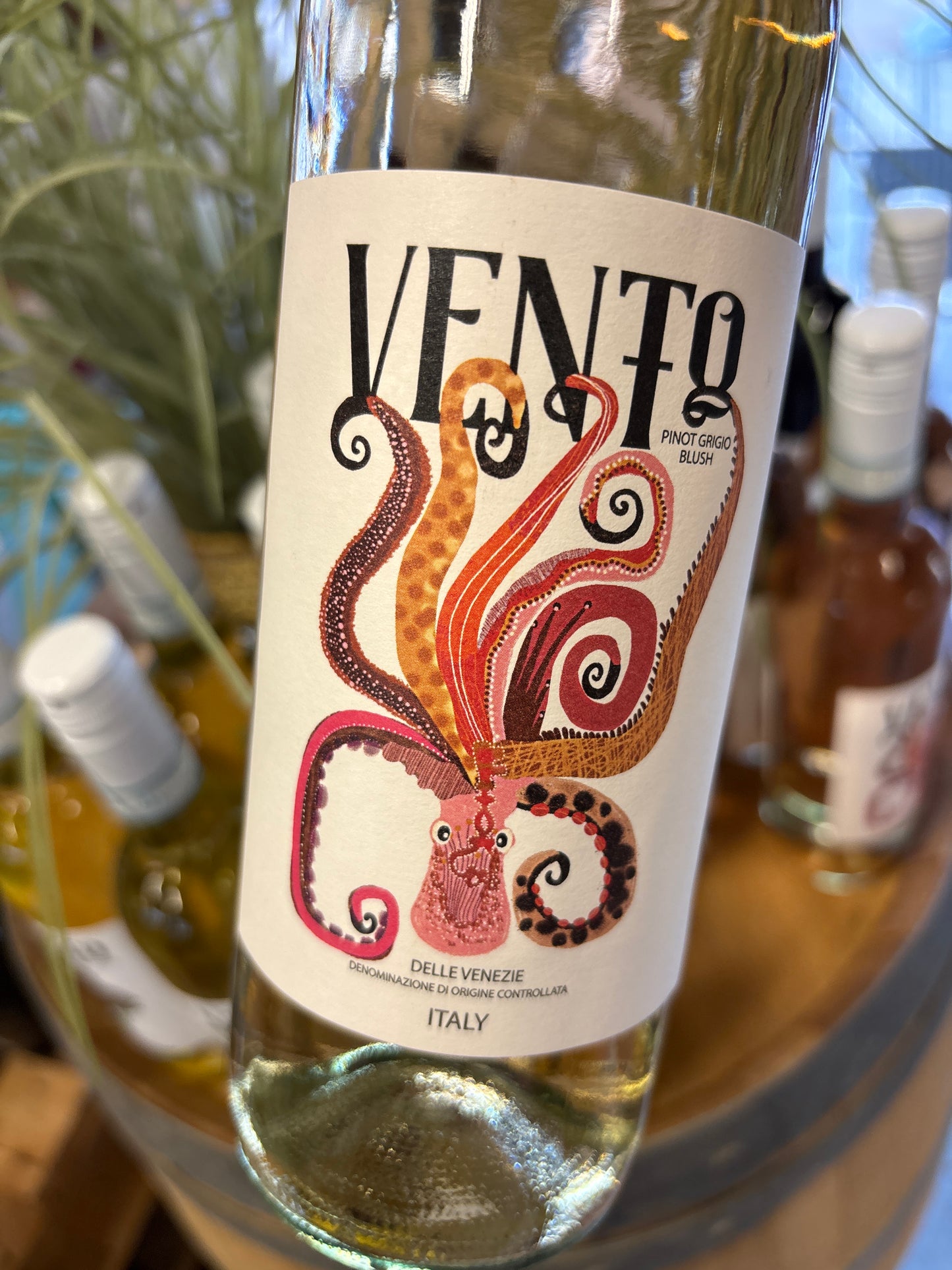 Vento - pinot grigio blush - Veneto