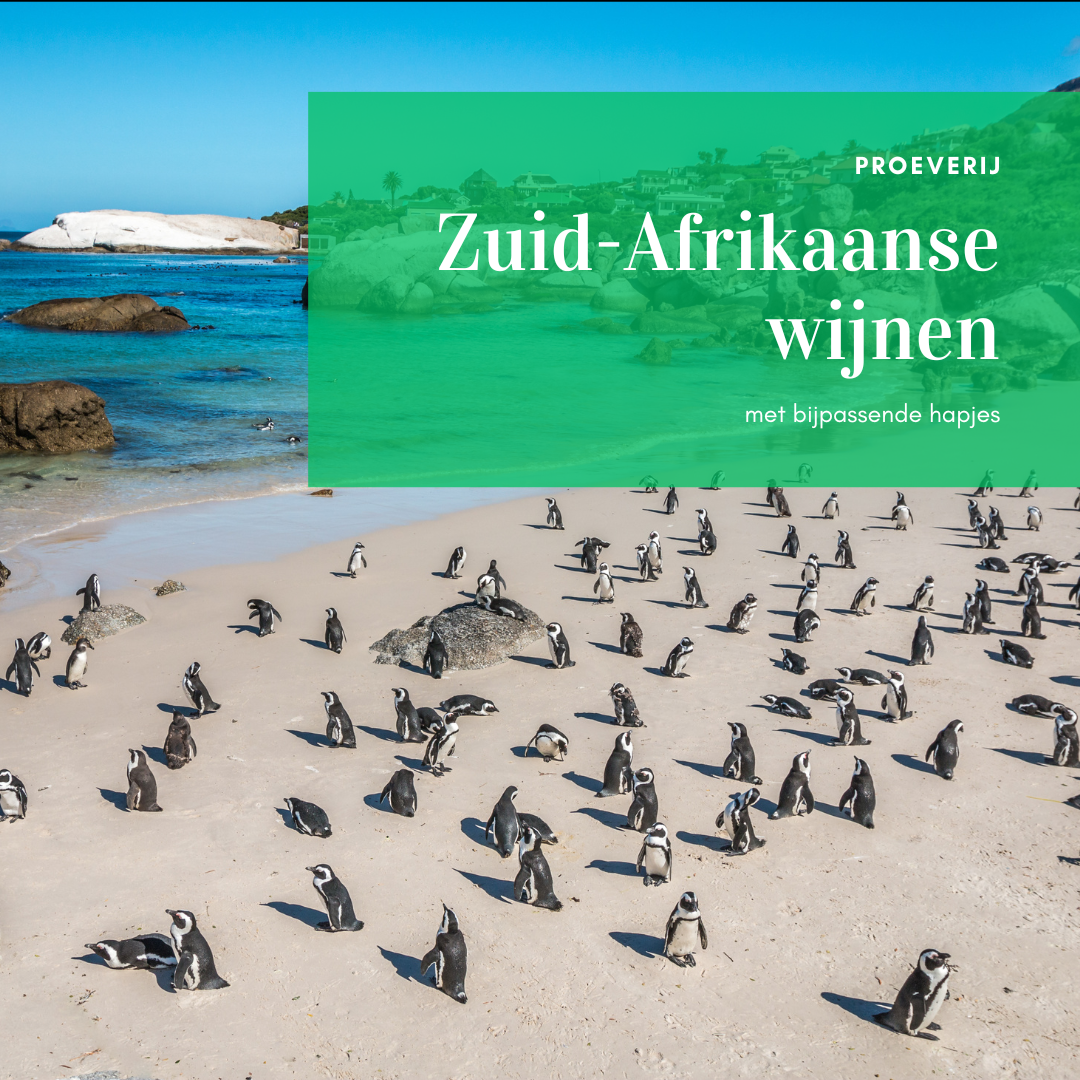 Proeverij Zuid-Afrikaanse wijnen - 23 april 2025