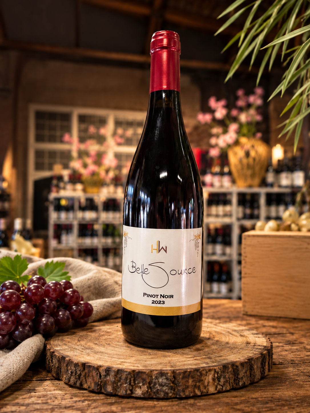 Wijndomein Belle Source (bekroonde) Pinot Noir 2023