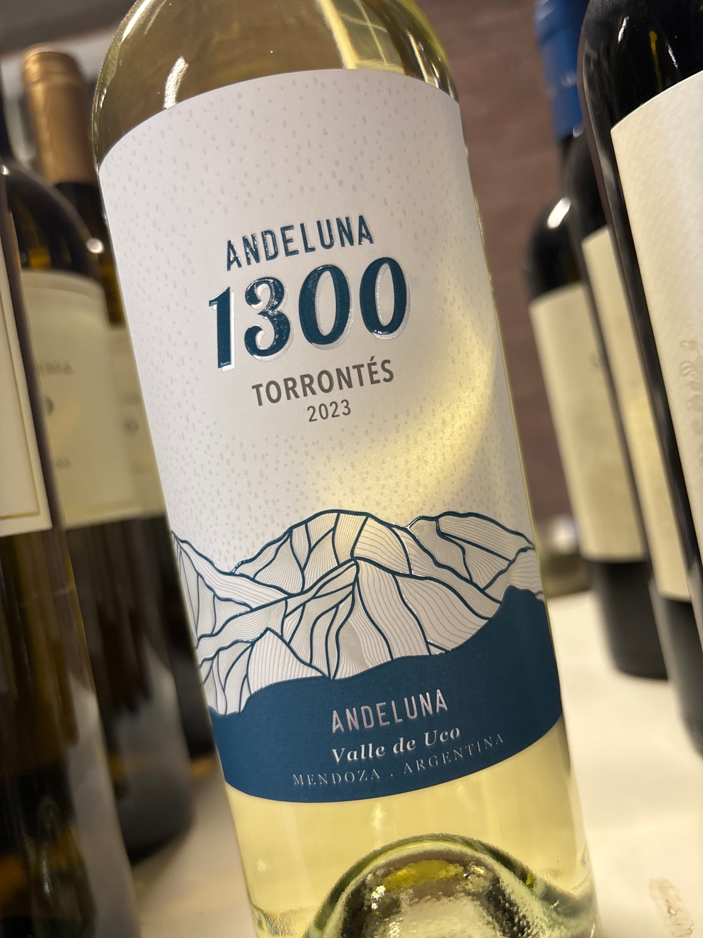 Andeluna – Torrontes - Mendoza