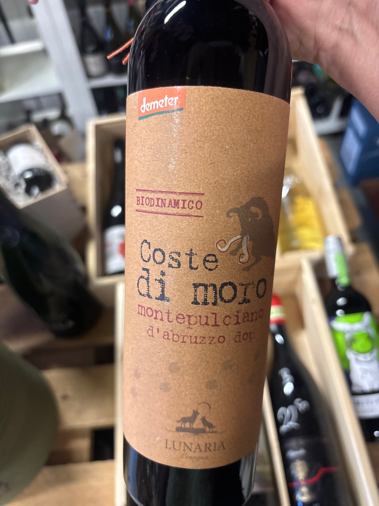 Lunaria coste di Moro - Montepulciano d'Abbruzo