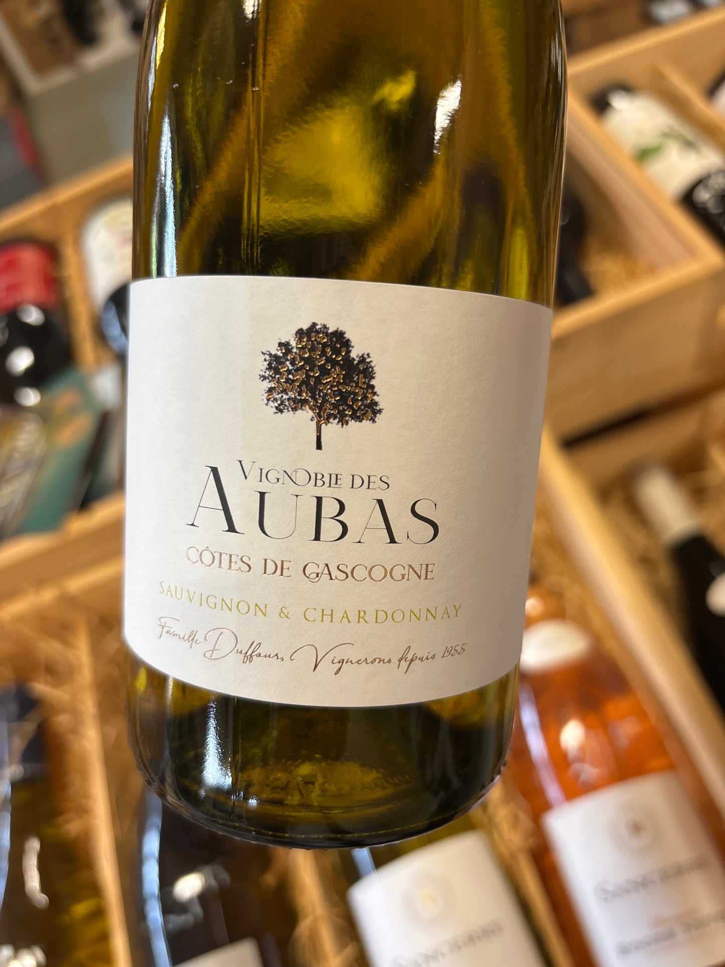 Les Aubas - sauvignon blanc/chardonnay - Côte de Gascogne