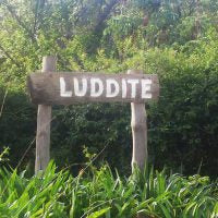 Luddite Shiraz 2019 - Shiraz - Bot River