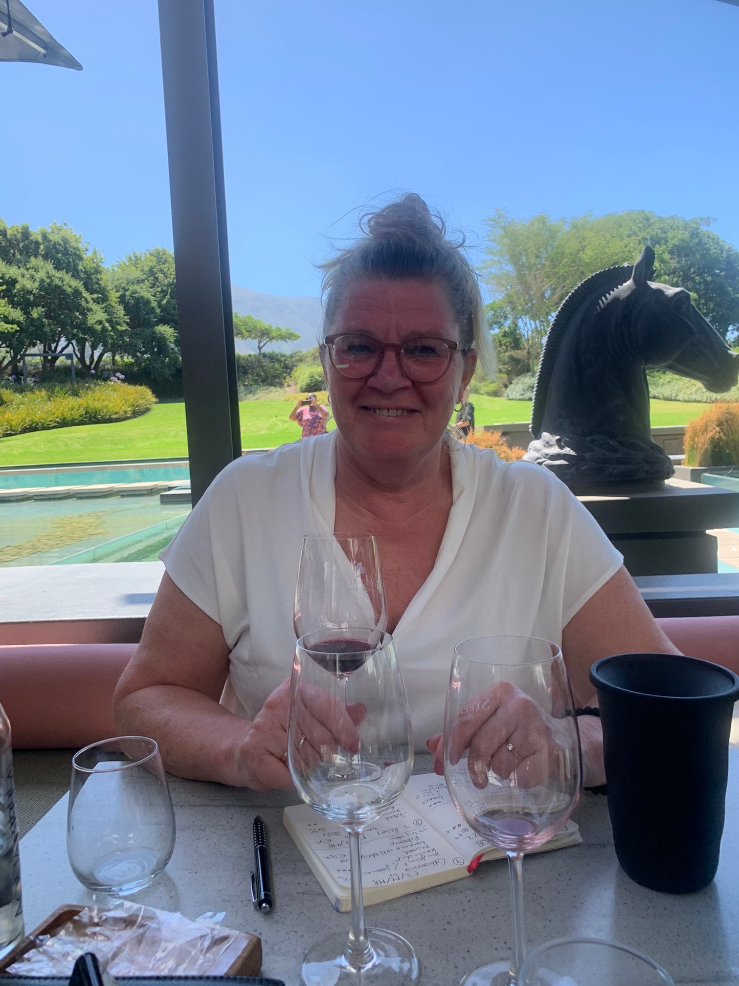 Steenberg Sparkling - Sauvignon blanc - Constantia - Zuid-Afrika