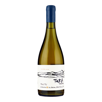 Ventisquero Tara Premium - Chardonnay - Atacama - Chili