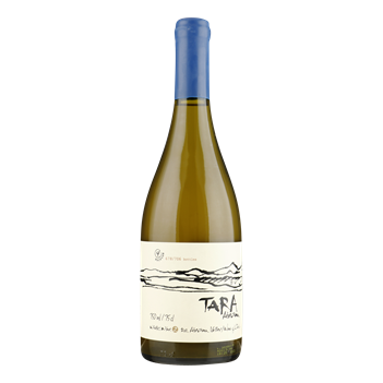 Ventisquero Tara Premium Viognier - Atacama - Chili