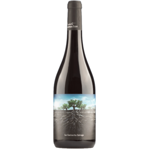 Salvaje del Moncayo – Garnacha – Campo de Borja