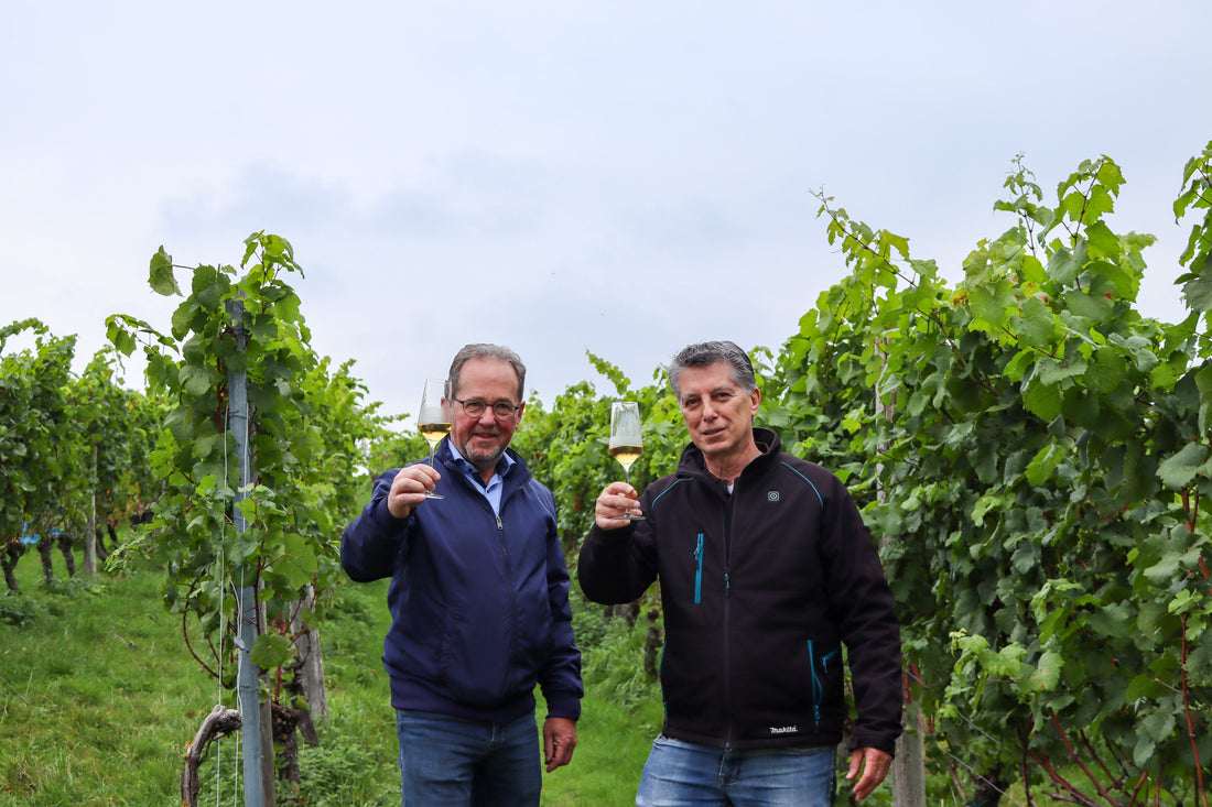 Nieuw: de wijnen van Belle Source uit het Limburgse Heuvelland