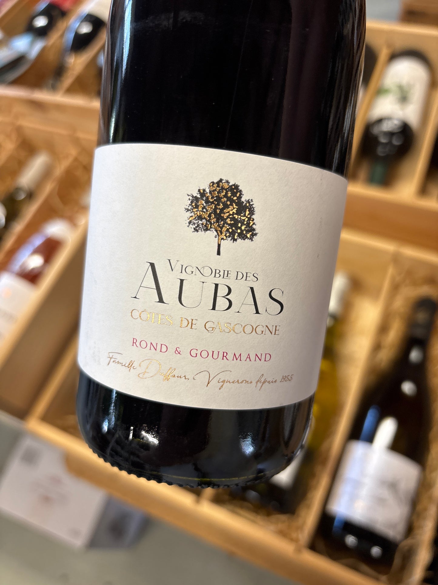Les Aubas - cabernet sauvignon/merlot/tannat- Côtes de Gascogne