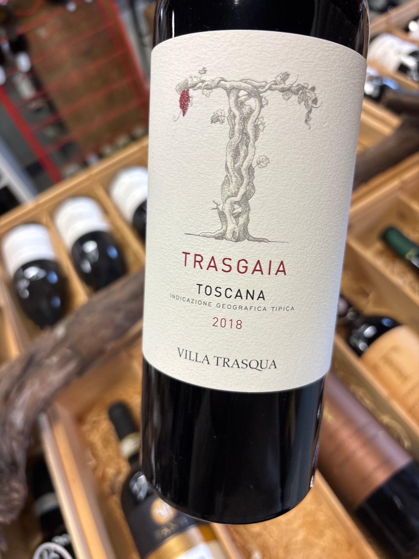 Villa Trasqua Trasgaia - Sangiovese/cabernet franc/cabernet sauvignon - Rosso di Toscane