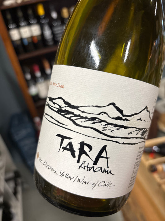 Ventisquero Tara Premium - Chardonnay - Atacama - Chili
