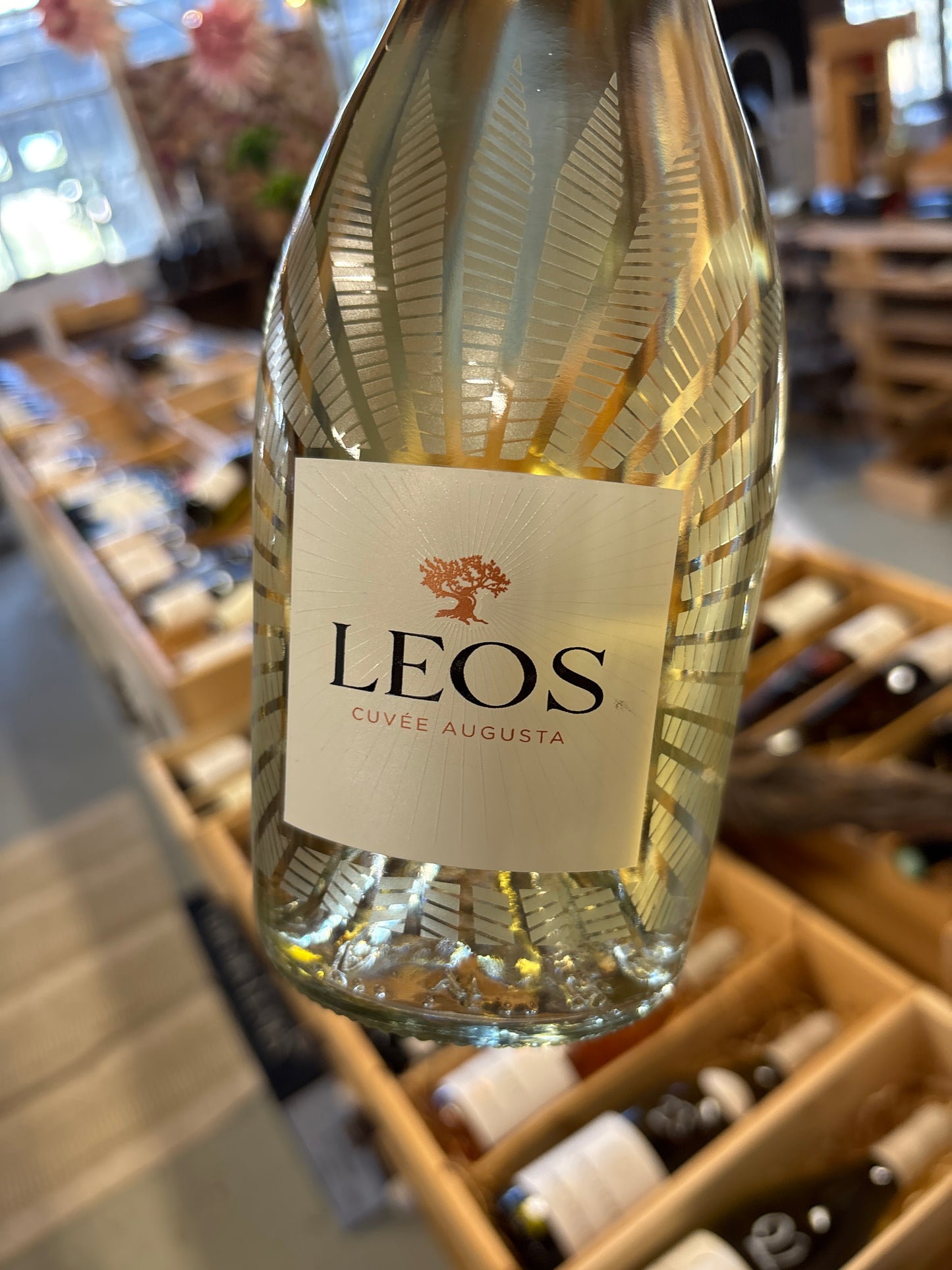 Domaine Leos Cuvee Augusta Blanc
