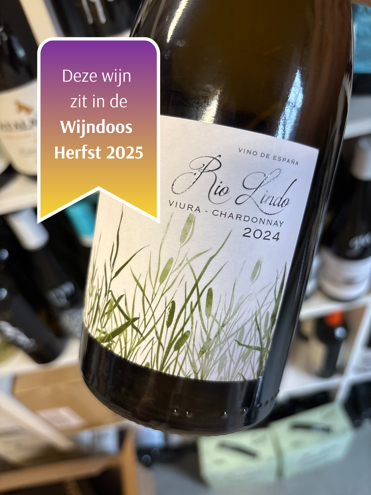 Rio Lindo - chardonnay/viura - Castilla la Mancha