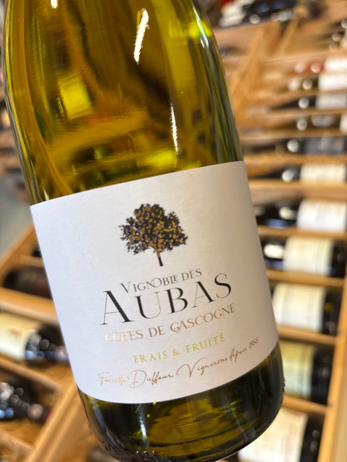 Les Aubas - gros manseng/colombard - Côte de Gascogne