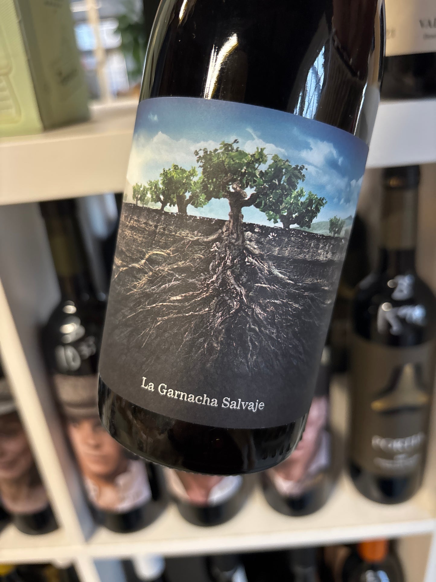 Salvaje del Moncayo – Garnacha – Campo de Borja
