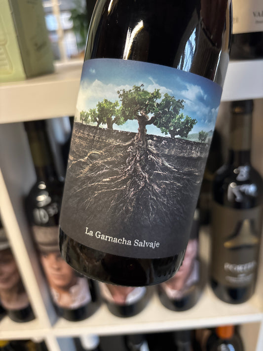 Salvaje del Moncayo – Garnacha – Campo de Borja