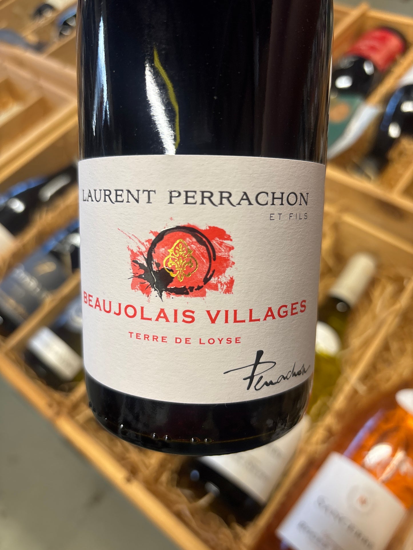 Laurent Perrachon Beaujolais village - gamay - Beaujolais