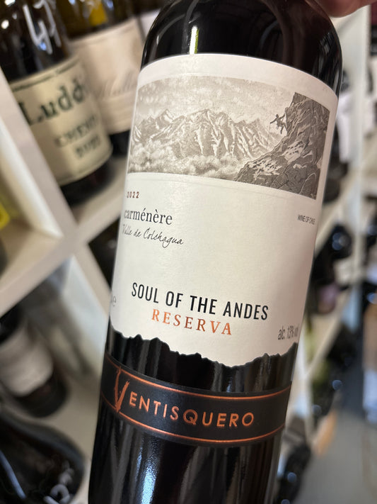Ventisquero Reserva - Carmenere - Colchagua - Chili