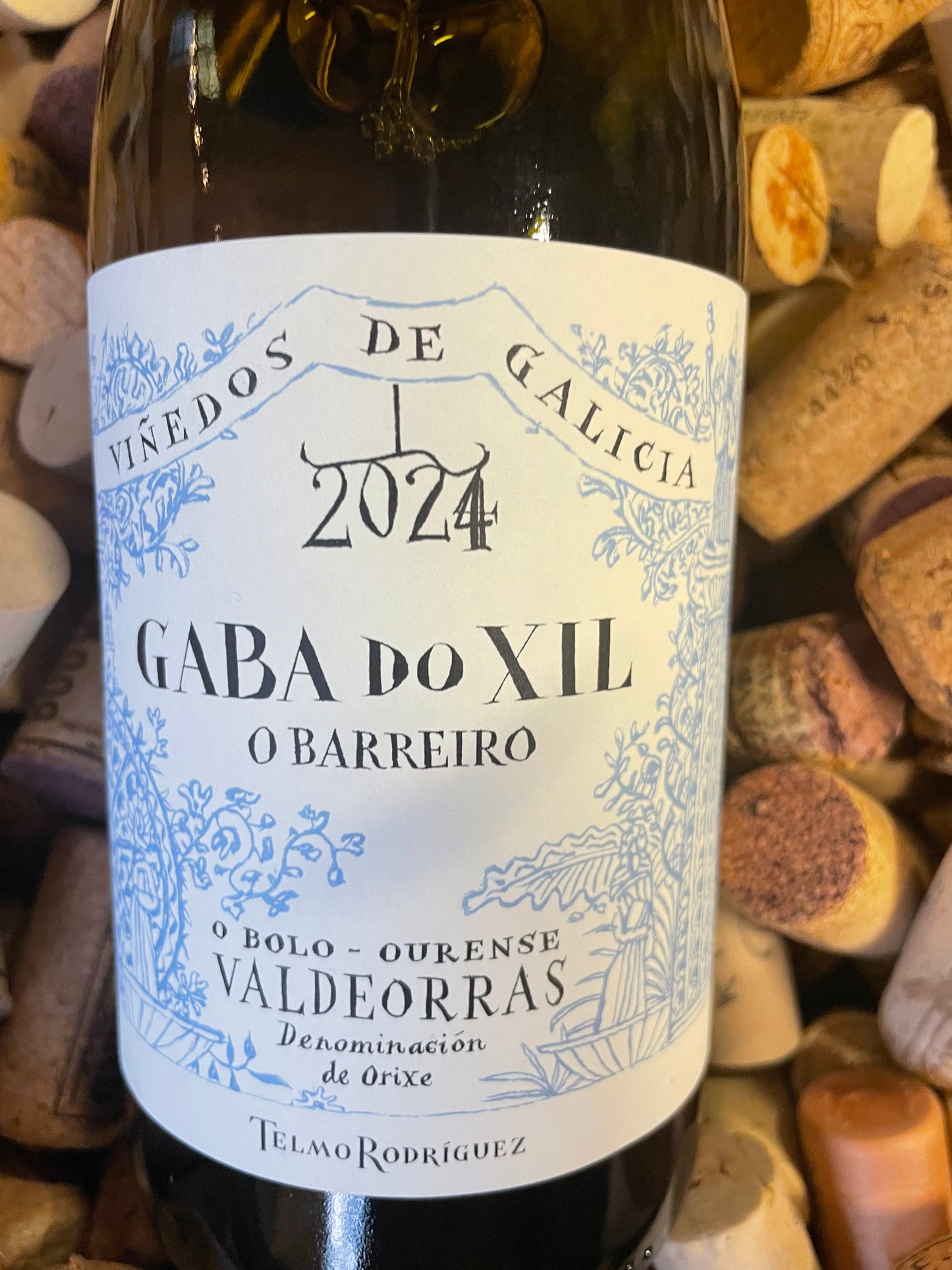"Telmo Rodriguez" Gaba do Xil 0 Barreiro – Godello - Valdeorras Galicie