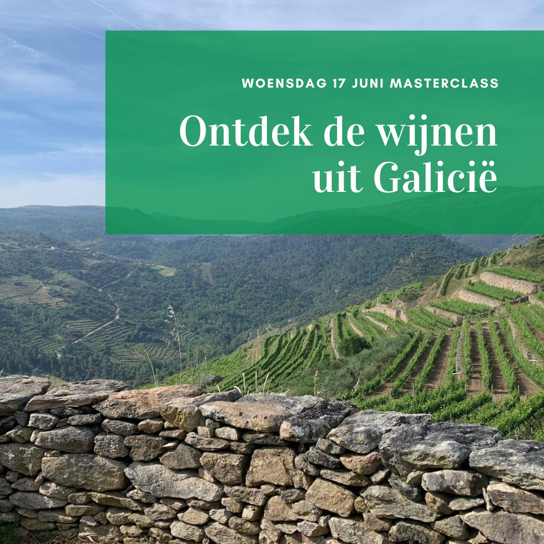 Masterclass wijnen uit Galicië, woensdag 17 juni 2026