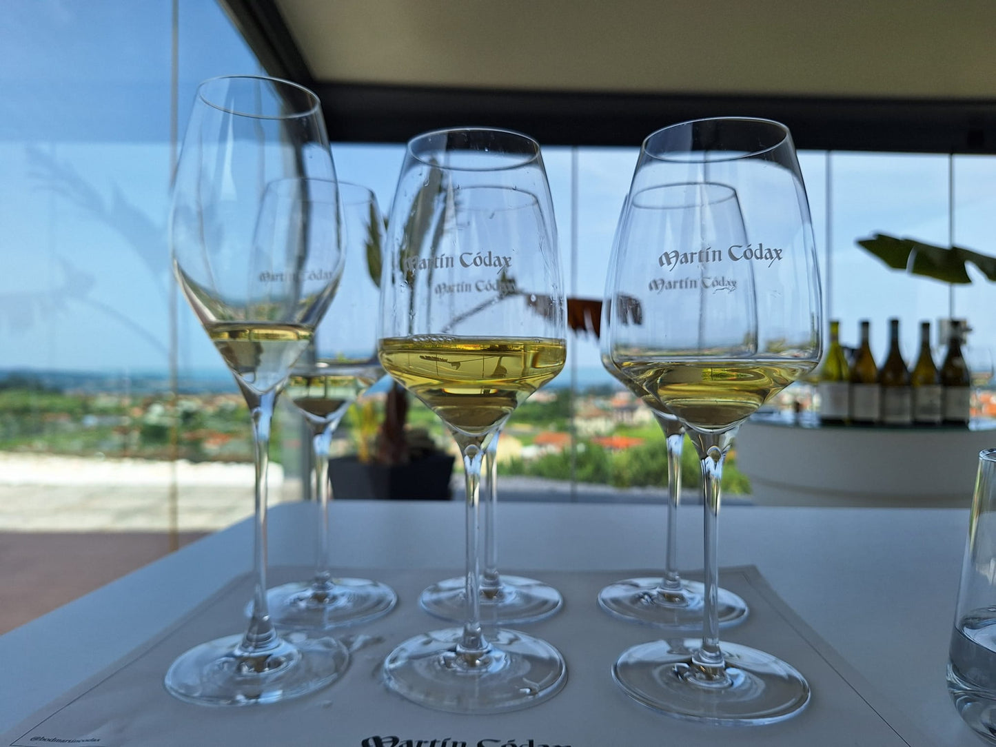Martin Codax Alba Martin - Albariño - Rias Baixas