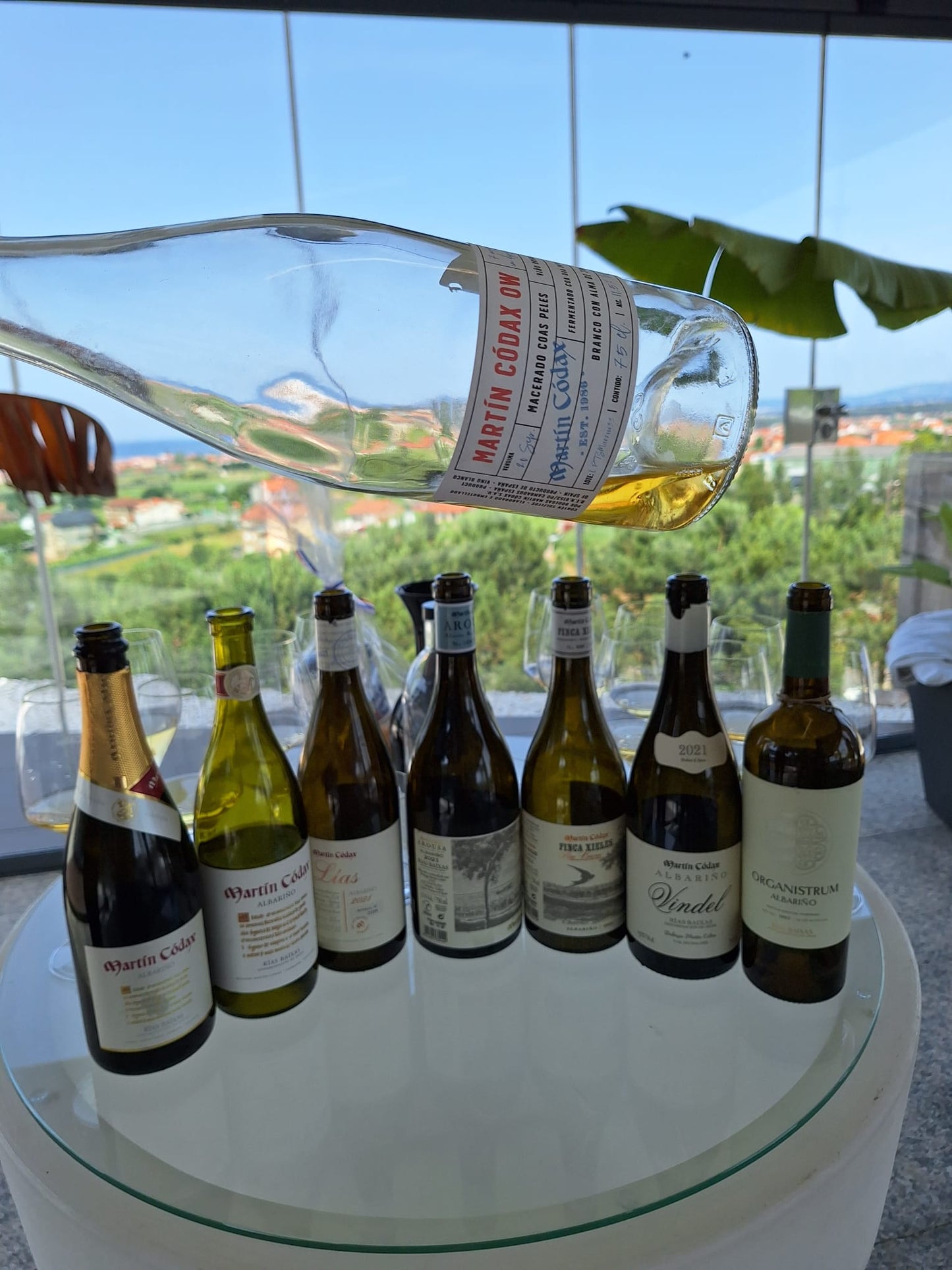 Martin Codax Alba Martin - Albariño - Rias Baixas