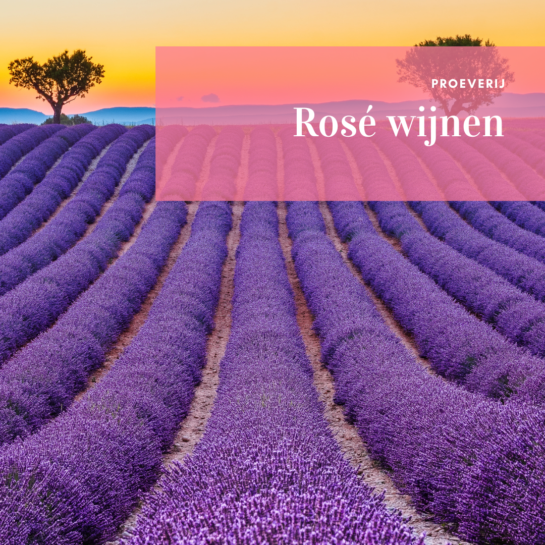 Rosé proeverij - zaterdag 7 juni 2025