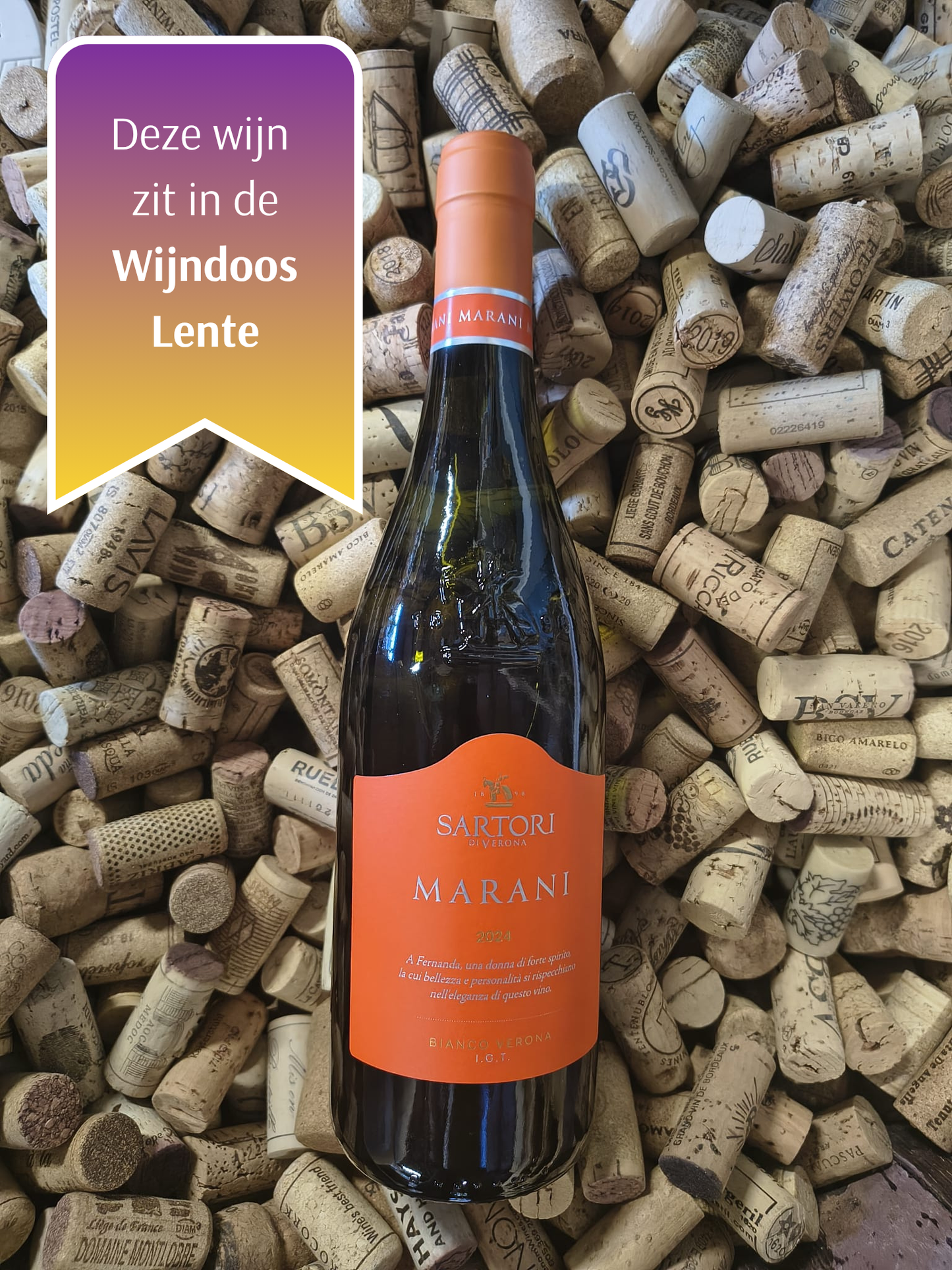 Sartori Marani Bianco Veronese - Garganega - Veneto
